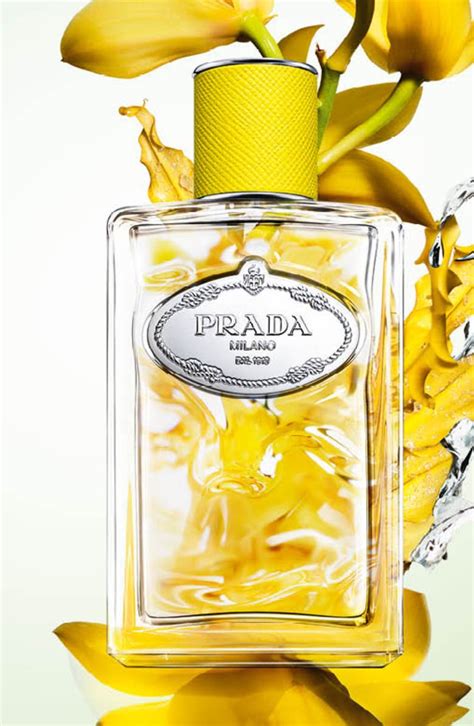 prada infusion nl|Prada infusion d'ylang.